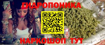 соль ск Краснодар